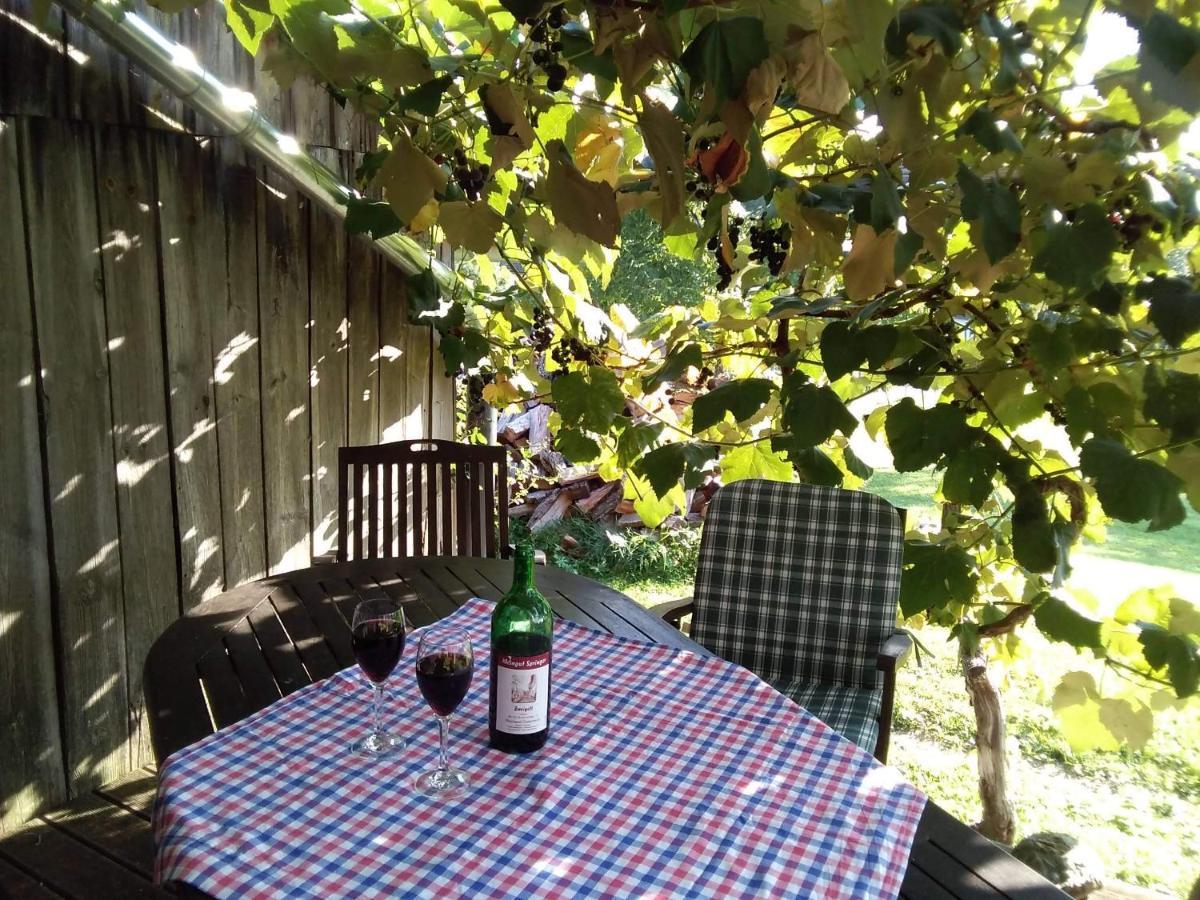 Gemuetlichkeit Am Vierkanthof - Apartment 1 Worterberg 外观 照片