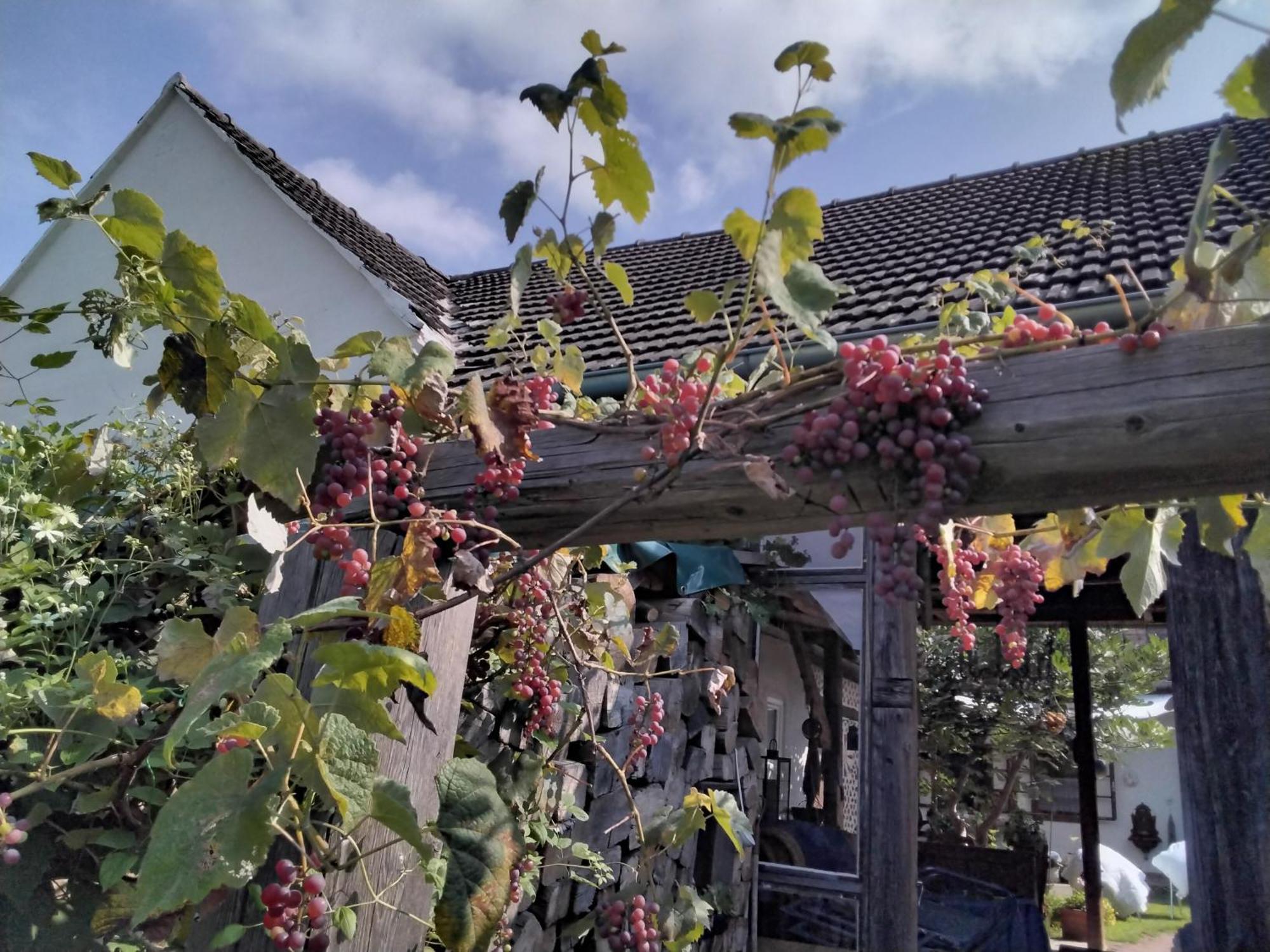 Gemuetlichkeit Am Vierkanthof - Apartment 1 Worterberg 外观 照片